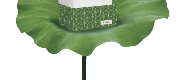 Le ciment Eco Holcim, maintenant disponible en sacs