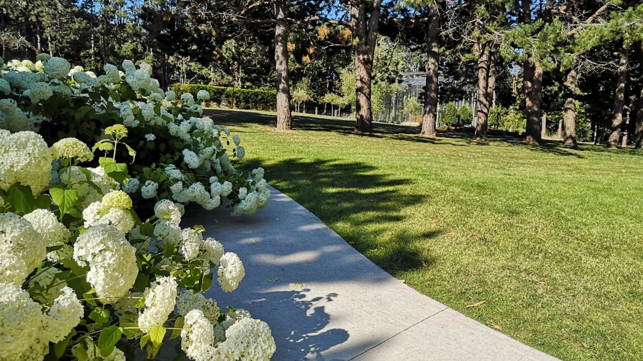 Holcim garden pathway