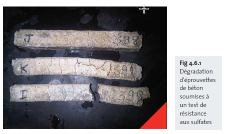Dégradation d'éprouvettes de béton soumises à un test de résistance aux sulfates