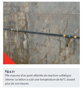 Pile massive d’un pont atteinte de réaction sulfatique interne. Le béton a subi une température de 80°C durant plus de 200 heures